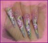 images patricia 324.jpg