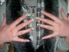 PICT0034.jpg