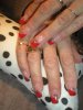 DSCN1462.jpg