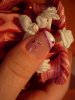 DSCN9204.jpg