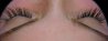 cils du 30.01.2010 004.jpg