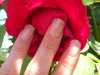 DSCN0754.jpg