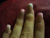 DSC00104.jpg