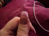 DSC00106.jpg