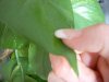 DSCN1355.jpg