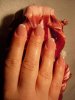 DSCN9329.jpg