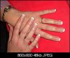 DSCN0484.jpg
