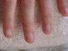 DSC01305.jpg