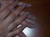 100_1447.jpg