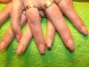 DSC08362.jpg