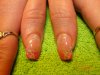DSC08363.jpg