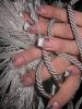 ongles virg 001.jpg