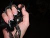 DSC01320.jpg