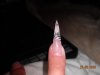 DSCN4142.jpg