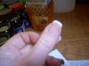 DSCN1684.jpg