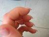 DSCN5890.jpg