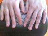 28022010371.jpg