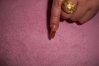 100_1295.jpg