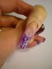 DSCN5551.jpg