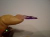 DSCN5549.jpg
