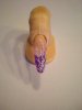 DSCN5548.jpg