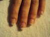 DSC03685.jpg