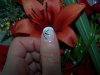 ongle french+ traits 004.jpg