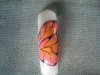butterfly.jpg