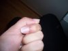 100_0505.jpg
