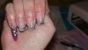 DSC01354.jpg