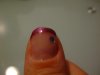 modèles ongles 006.jpg