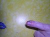DSCN0541.jpg