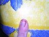 DSCN0542.jpg