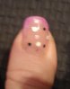 DSC02564.jpg