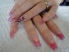 formation felinails 011.jpg
