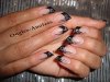 DSC03842.jpg