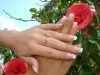 DSC09831.jpg