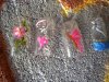 DSCN0847.jpg