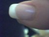 Pic-20100324-011.jpg