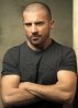 Dominic-PURCELL.jpg