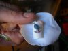 DSCN0960.jpg