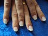 DSC03726.jpg