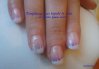 DSC07727.jpg
