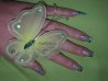 (23ième)sur moi rallonge chablon au mask +gel clear +dessin gel vert et argent.jpg