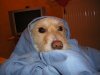 Photo 001.jpg