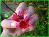 pink03.jpg