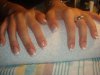DSC03668.jpg