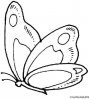normal_coloriage-papillon-1.jpg