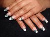 DSC05540.jpg
