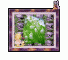 muguet4.gif